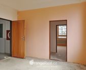 _DSC0355